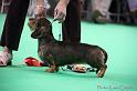 Crufts2011_2 1640